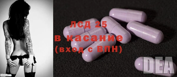 гидра Богородск