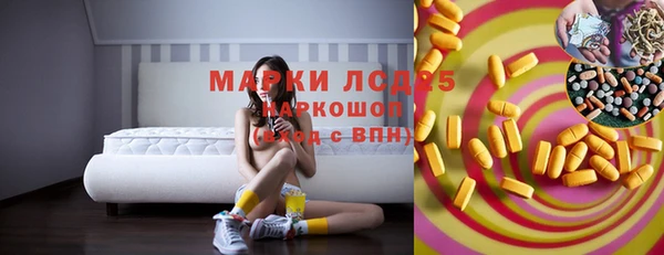 гидра Богородск