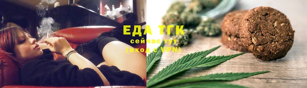 гидра Богородск