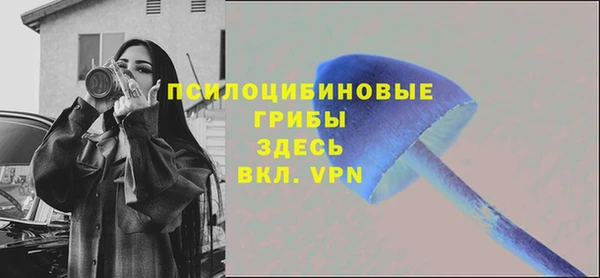 соль курить ск Богородицк
