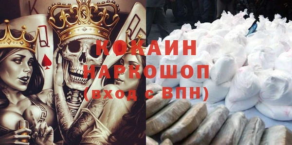 гидра Богородск