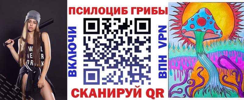 Галлюциногенные грибы Psilocybine cubensis  Новозыбков 